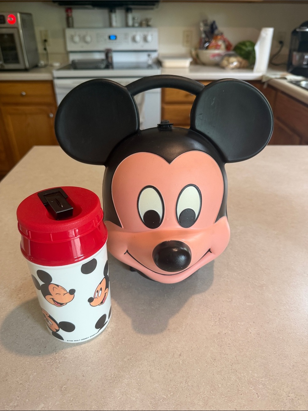 Disney Mickey Mouse Head Plastic Lunch Box Aladdin Industries Vintage
